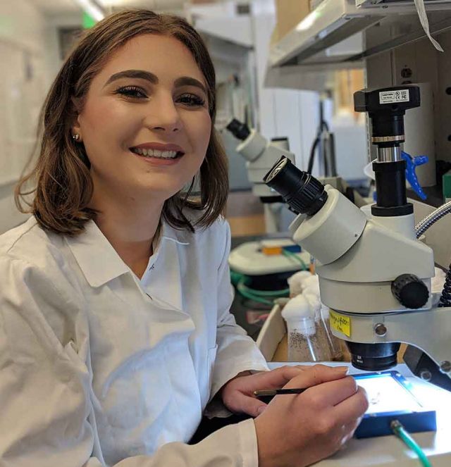 Allison Gabbert conducting research in the Montell lab. Credit: Spencer Phillips